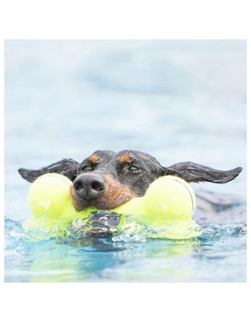 Kong Air Squeaker Bone Geel - Hondenspeelgoed