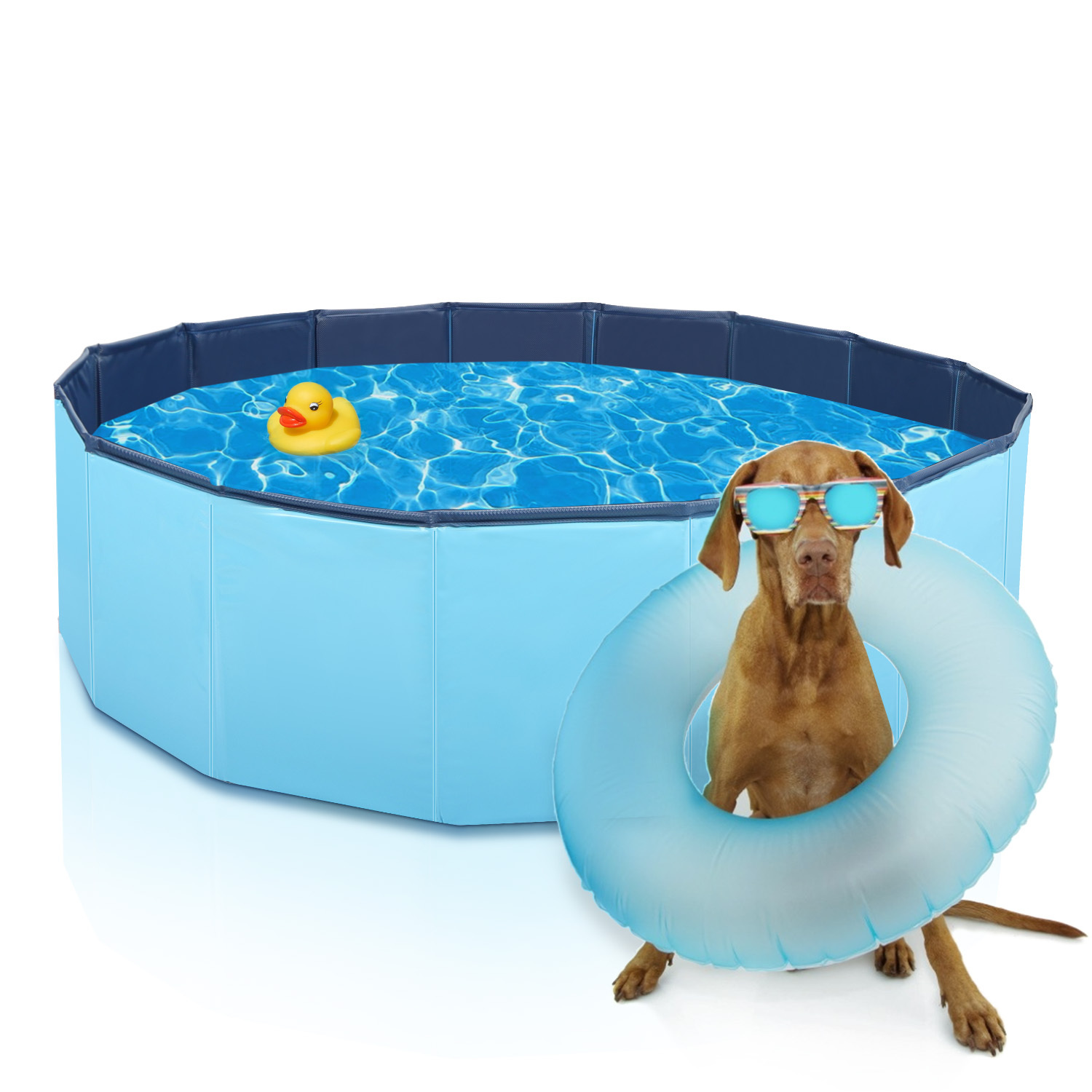 Piscina Nobleza de 120 cm para cães, banheira dobrável para crianças e animais de estimação, piscina de PVC antiderrapante, durável e estável, adequada para uso interno e externo, azul.