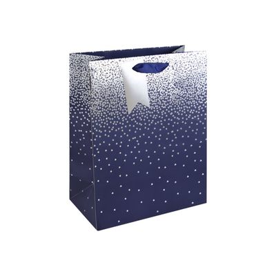 Clairefontaine - Sac cadeau - pluies d'étoiles bleu - 26,5 cm x 14 cm x 33 cm