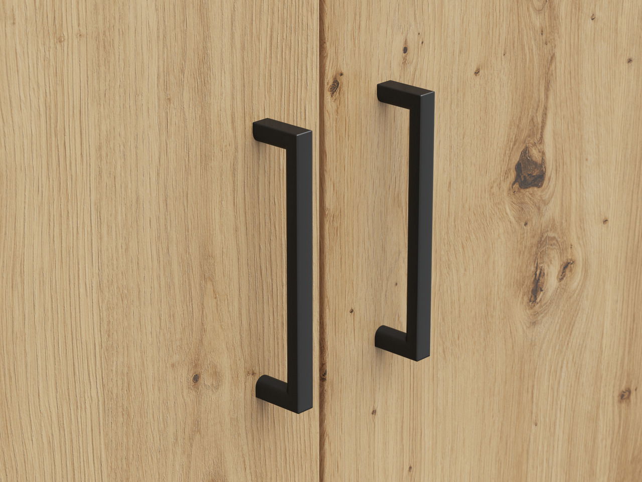 Carryhome Mehrzweckschrank MULTISTAURAUM