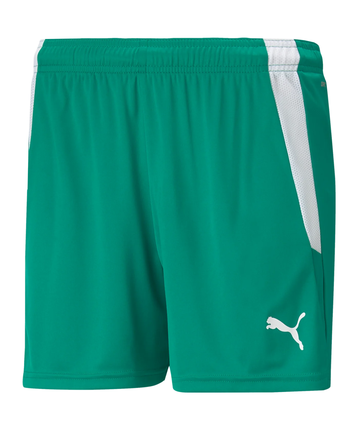 PUMA teamLIGA Shorts Damen Grün Weiss F05