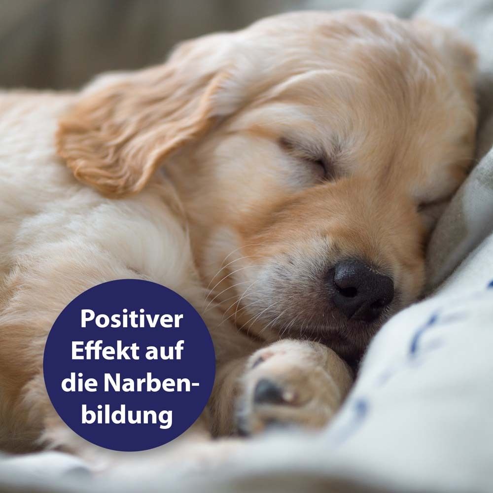 Canosept® Wundgel für Hunde 20 ml