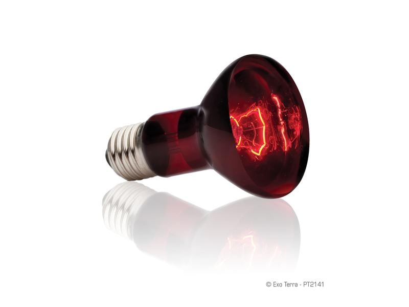 Exo Terra Terrarienlampe Infrared Basking Spot E27, R20/50W Infrarot-Spotlampe