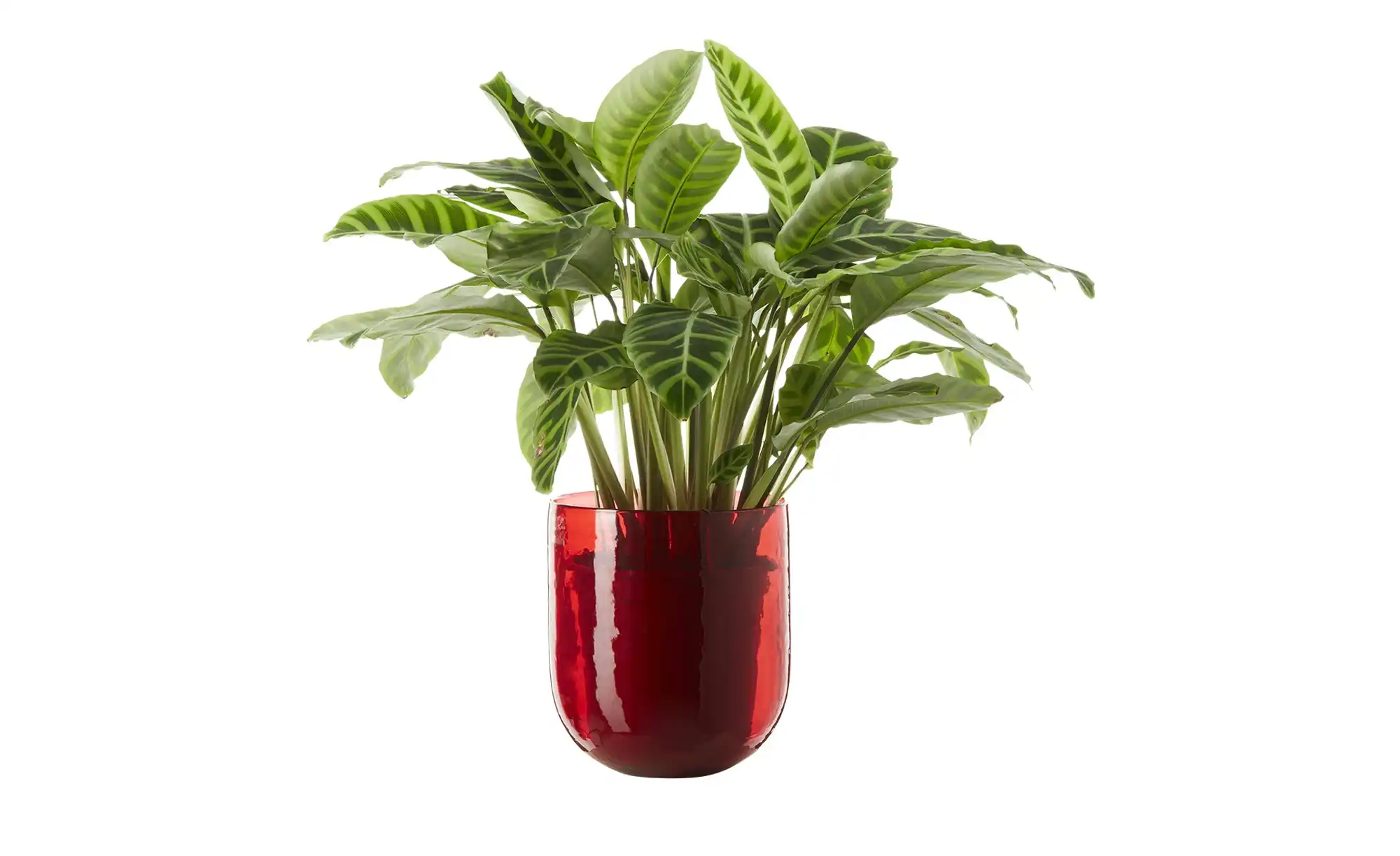 HOME STORY Vase