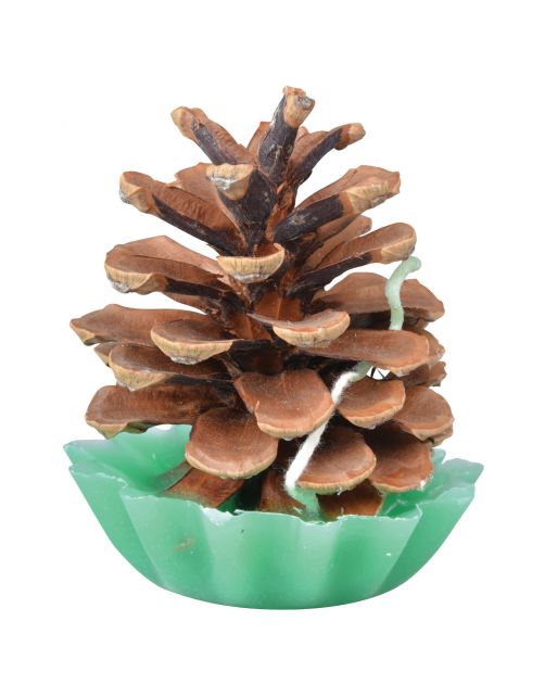 Esschert's Garden Dennenappel Aanmaakblokjes - Terrasverwarming - 6.3x6.3x7.9 cm 10 stuks