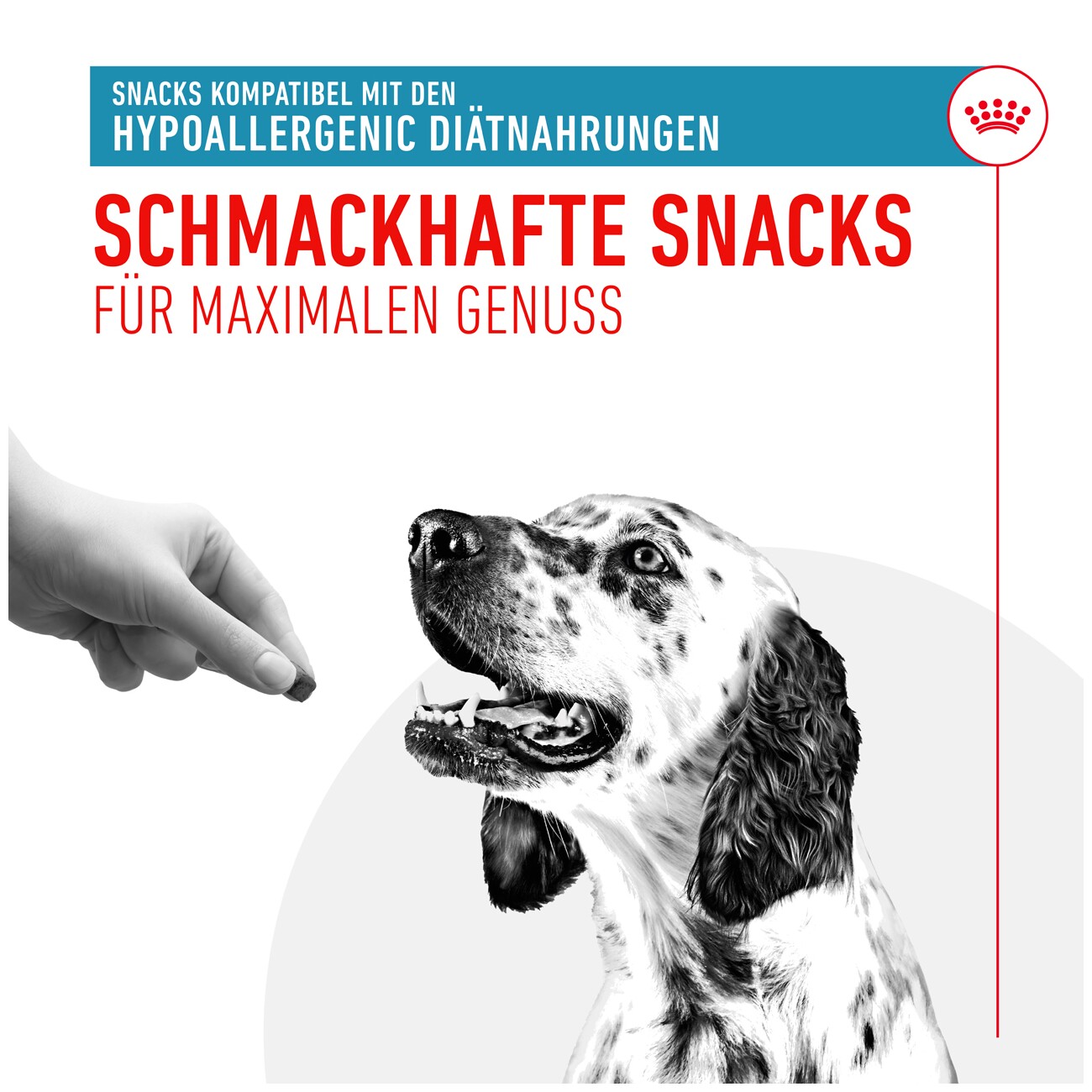 ROYAL CANIN Snacks Adult, Hypoallergenic