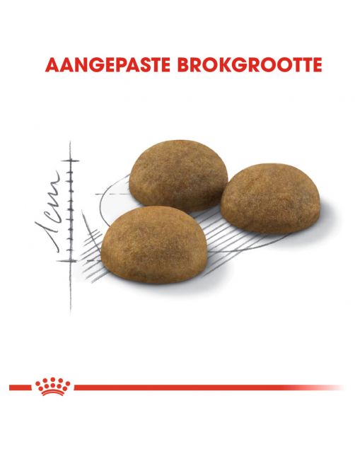 Royal Canin Indoor Long Hair - Kattenvoer