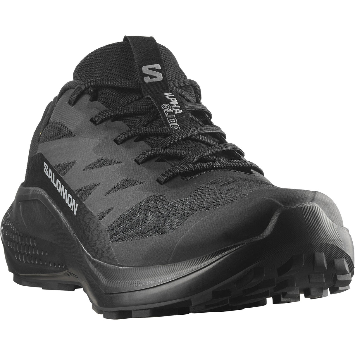 Salomon<br>Alphaglide GTX
