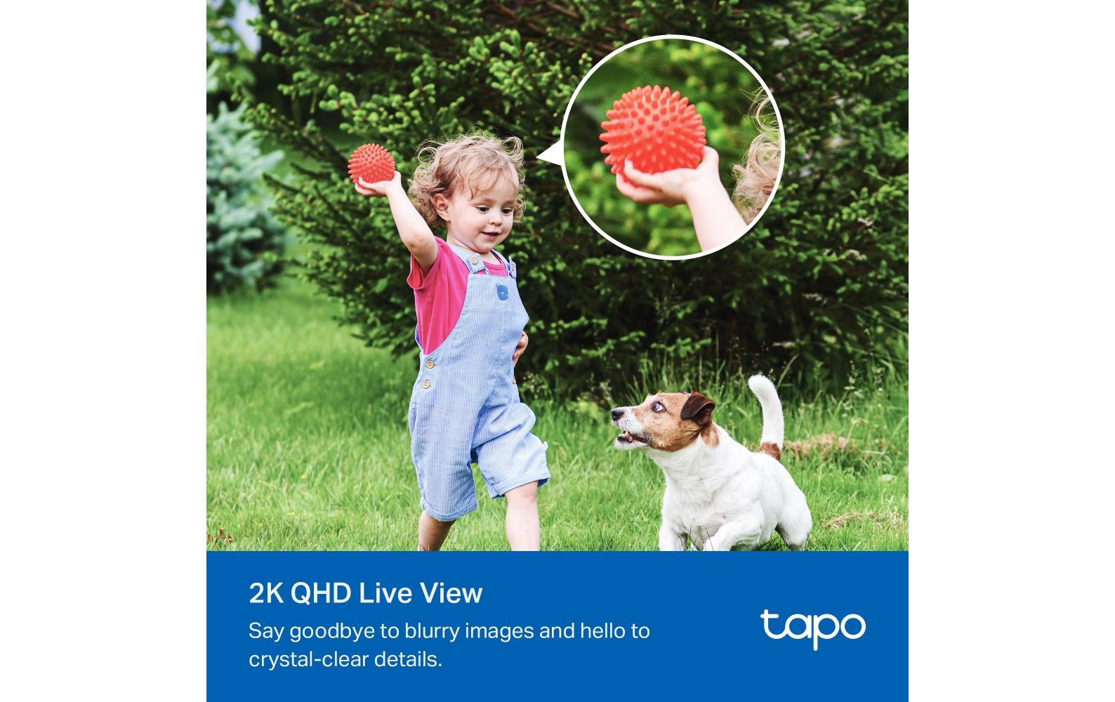 Netzwerkkamera Tapo C425 inkl. Solarpanel Tapo A201Solarbetriebenes Sicherheitskamera-Kit