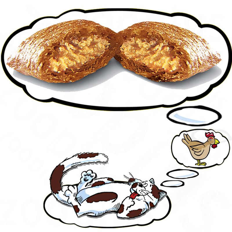 Friandises Dreamies Catisfactions, poulet à prix discount sur bitiba.fr