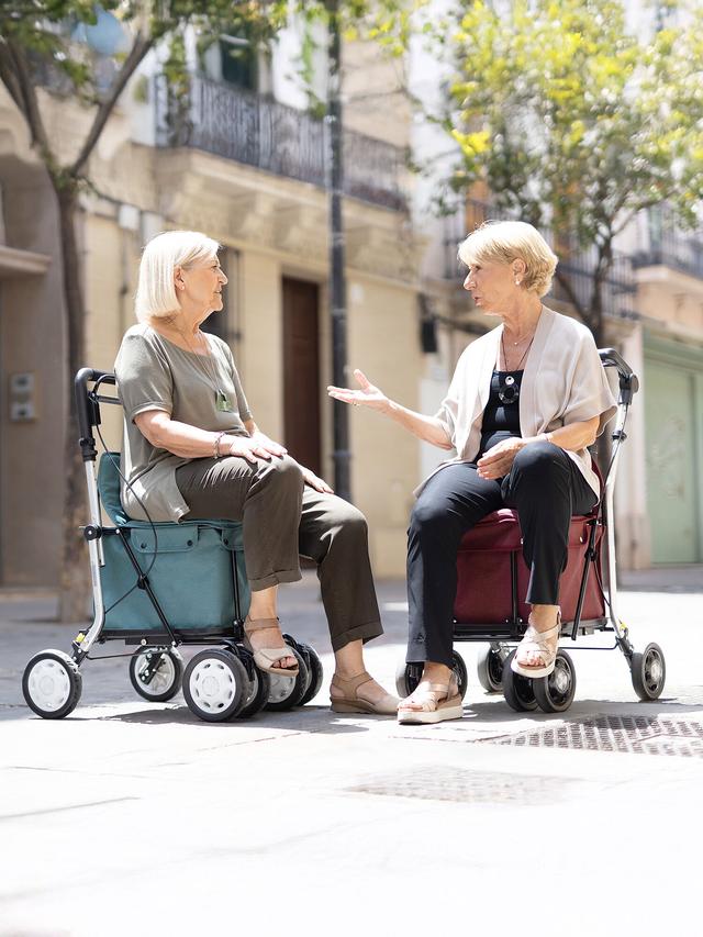 Flex Shopping Rollator 