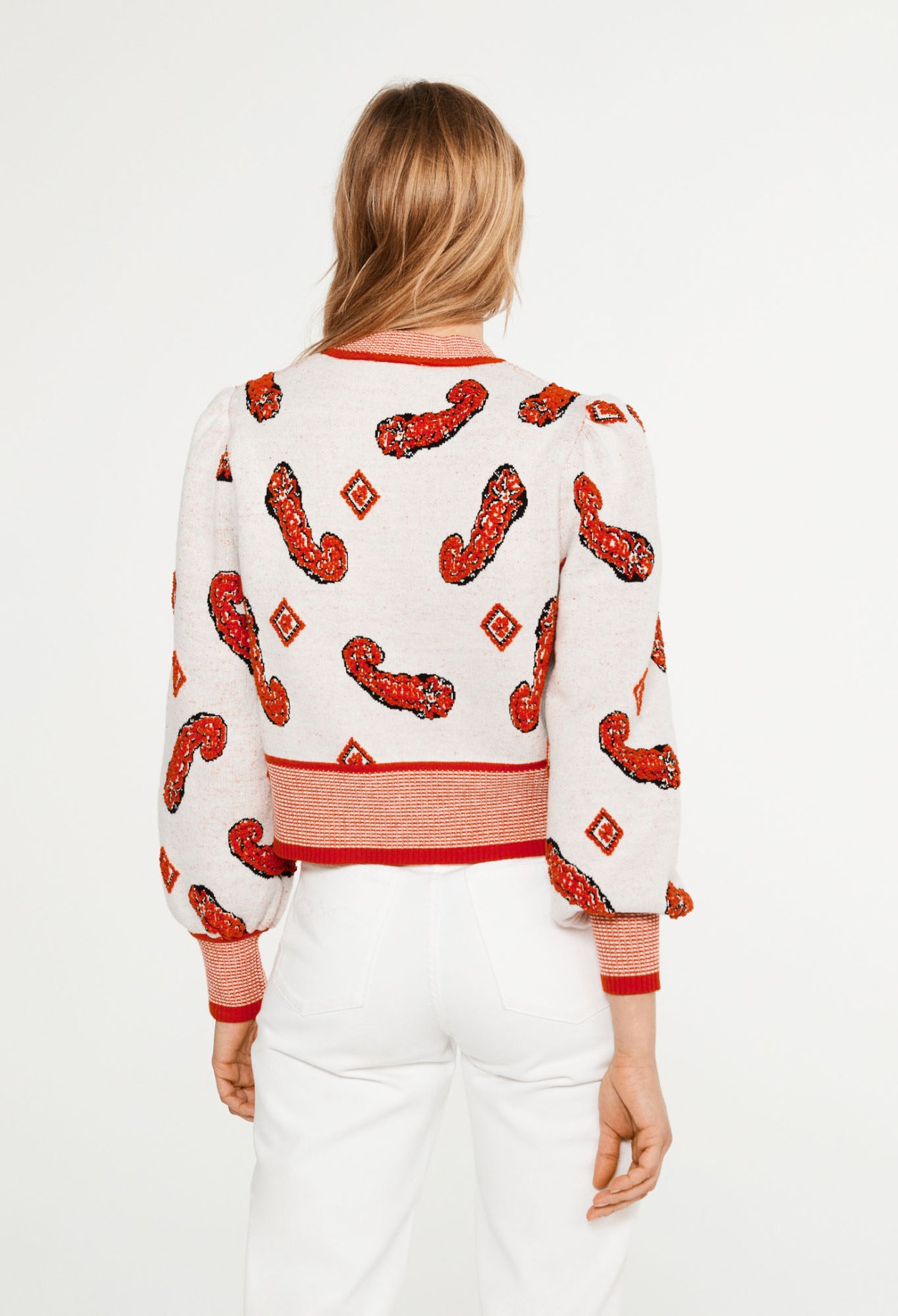 Pull motifs paisley