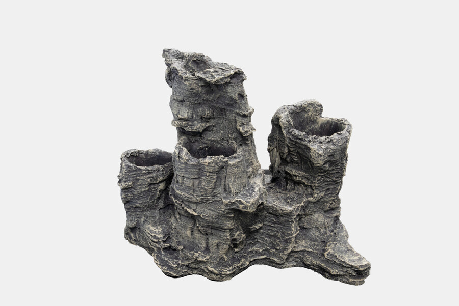 Scapers Rock Bundel  | Aquariumdecoratie Waterplanten