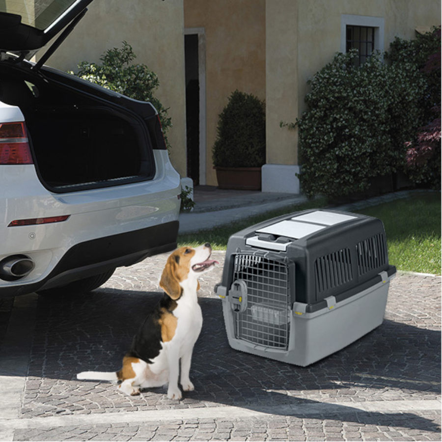 Transportadora para cães Stefanplast Gulliver 4 IATA