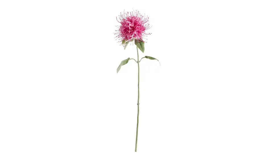 Kunstblume Monarda
