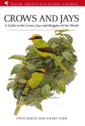 Crows and Jays - Helm Identification Guides (Hardback)