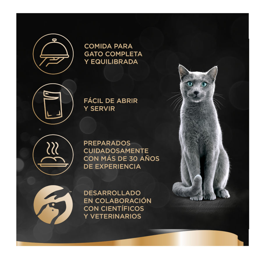 Molho de peixe Sheba Selezione em sachê para gatos - Pacote múltiplo
