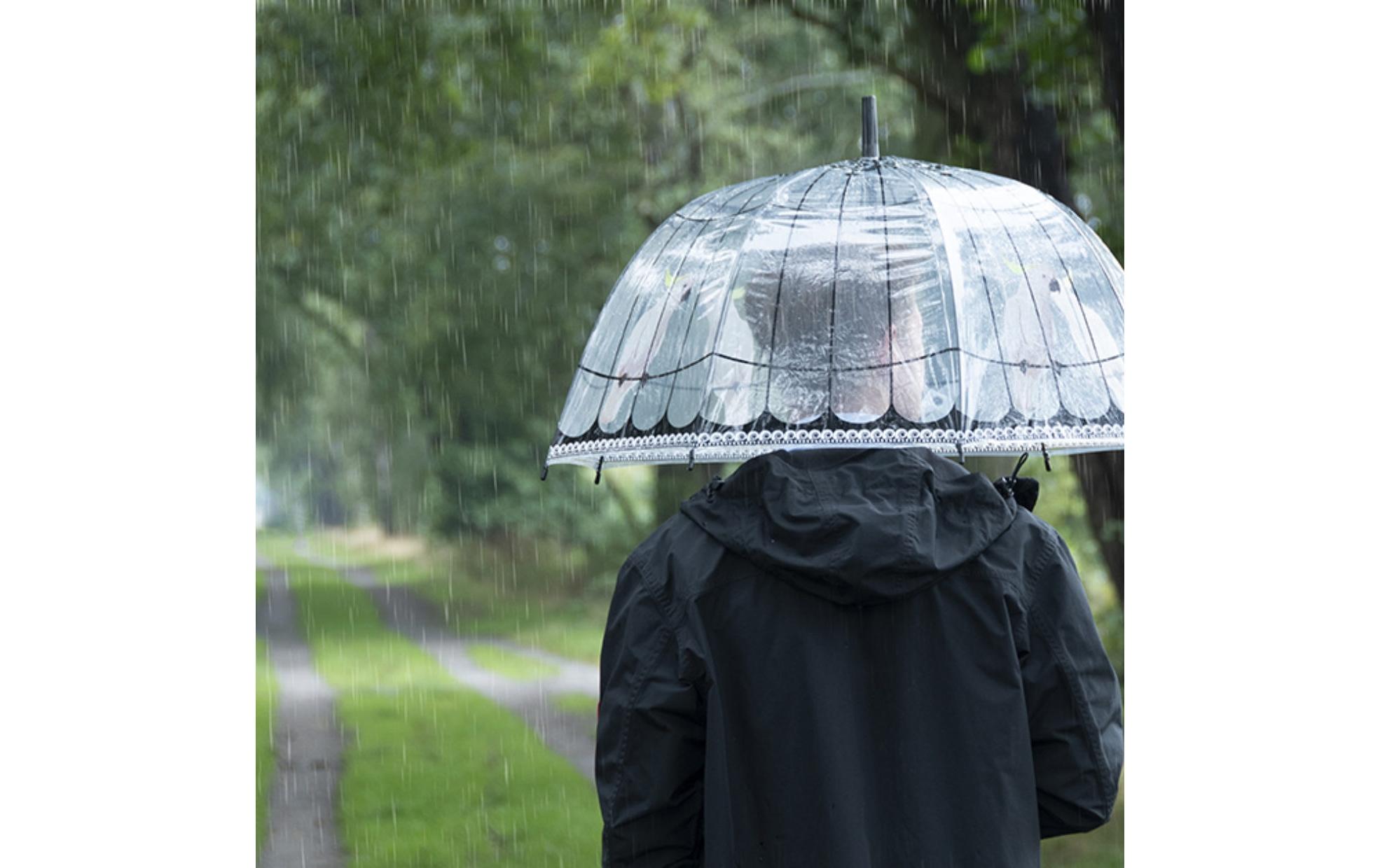 Schirm Vogelkäfig Rosa/Schwarz/TransparentTransparenter Regenschirm