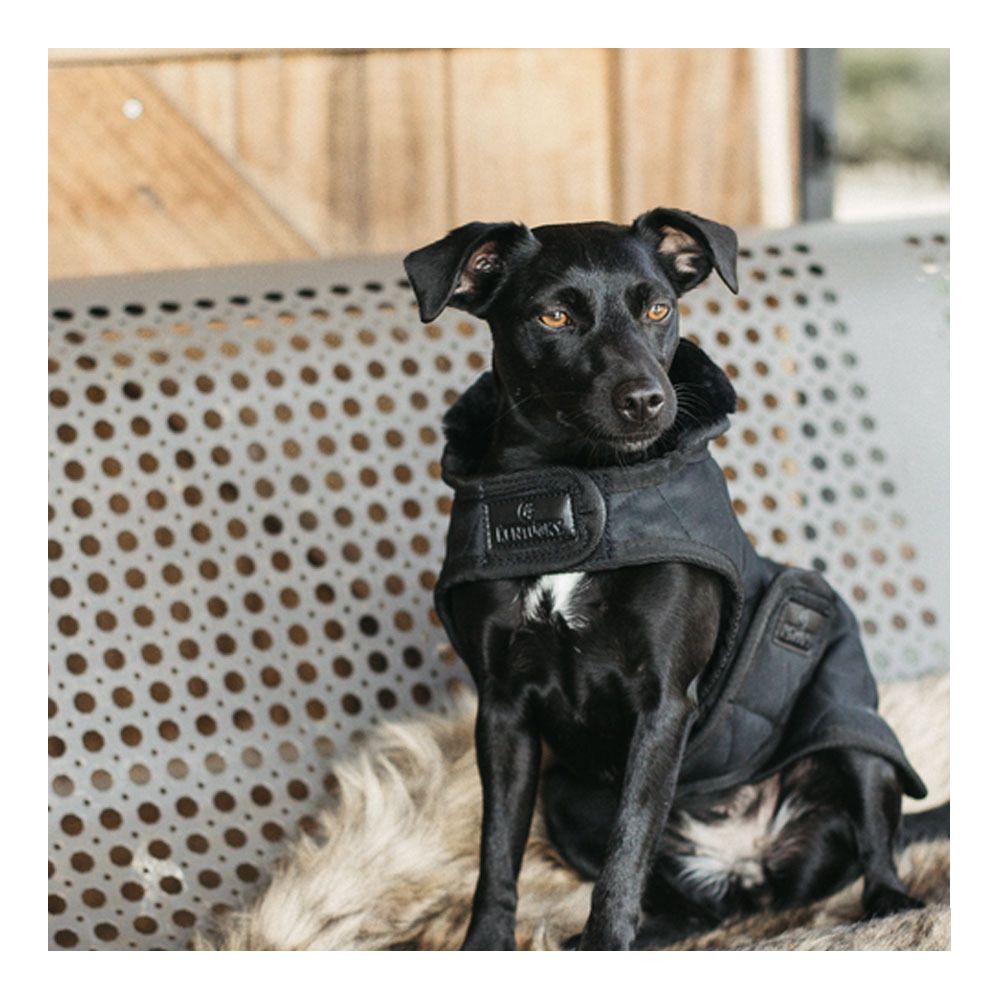 Kentucky ORIGINAL 160G - Couverture pour chien black/black
