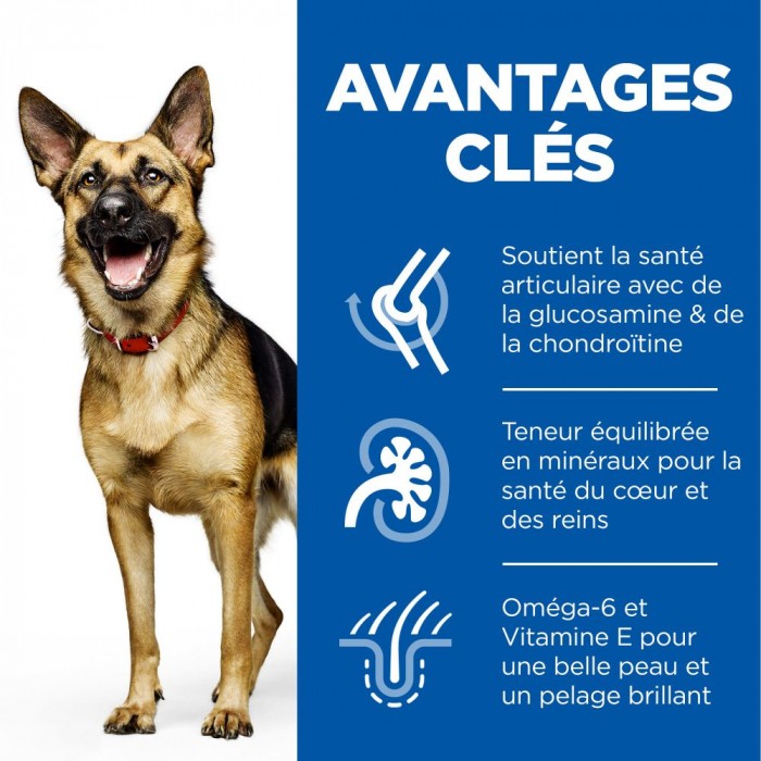 HILL'S Science Plan Large Mature Adult 6+ au Poulet - Croquettes pour chien