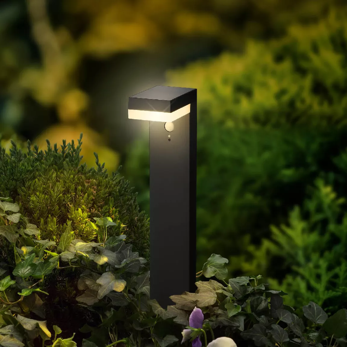 Borne de jardin solaire 600 lumens (H50 cm) Elite Gris anthracite