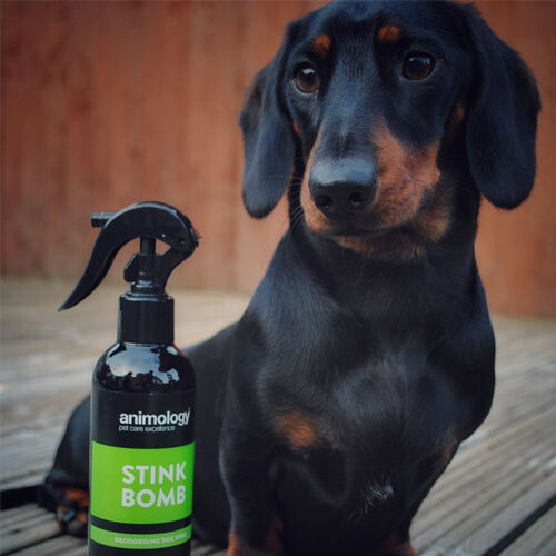 Animology - Stink Bomb