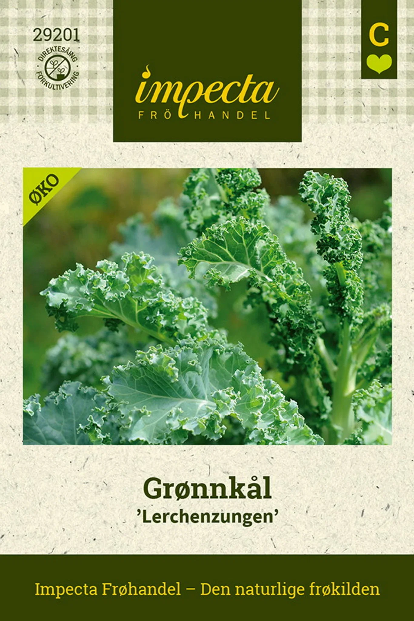 Brassica oleracea 'Lerchenzungen' Grønnkål 'Lerchenzungen'