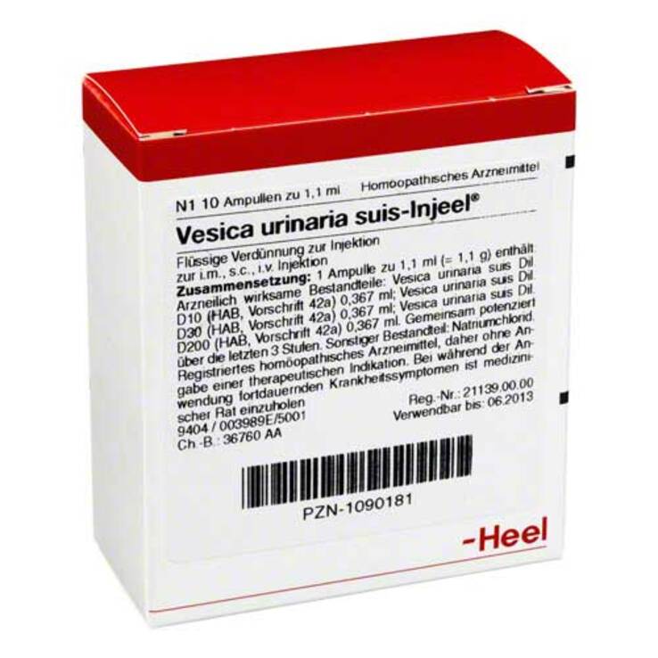 Vesica urinaria suis-Injeel Ampullen, 10 St