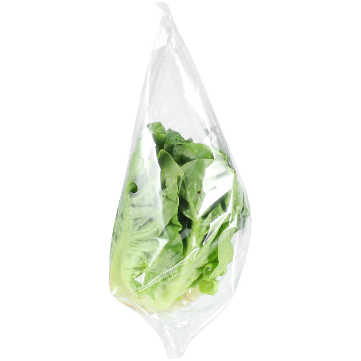 Naturaplan Bio Mini Lattich 2 Stück -