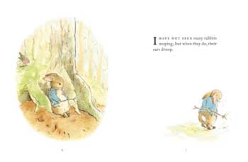 The Further Tale of Peter Rabbit (Hardback)
