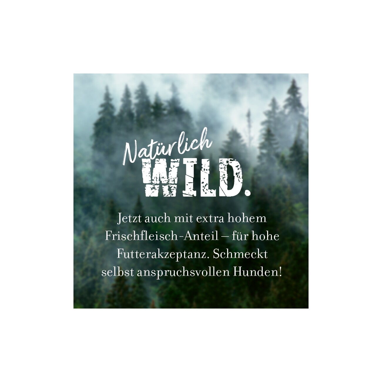 REAL NATURE WILDERNESS Fresh Fish Trockenfutter Hund, Adult 1 kg