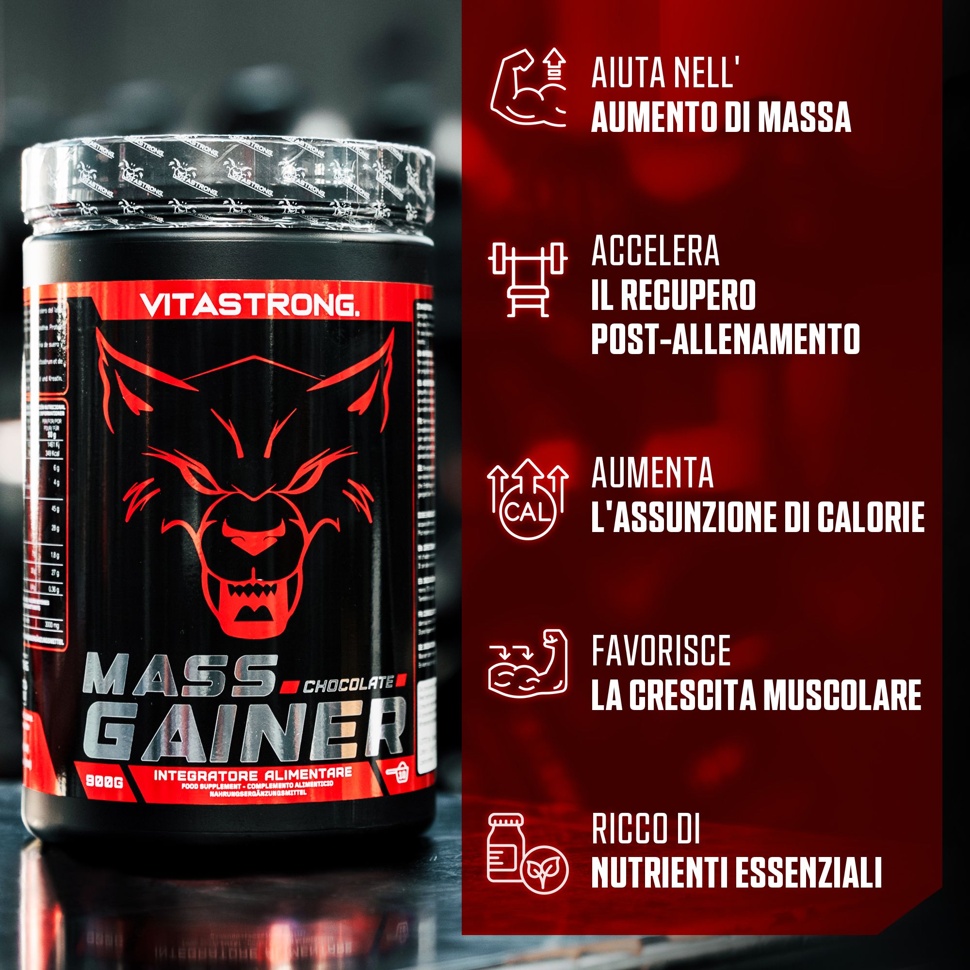 Vitastrong Mass Gainer