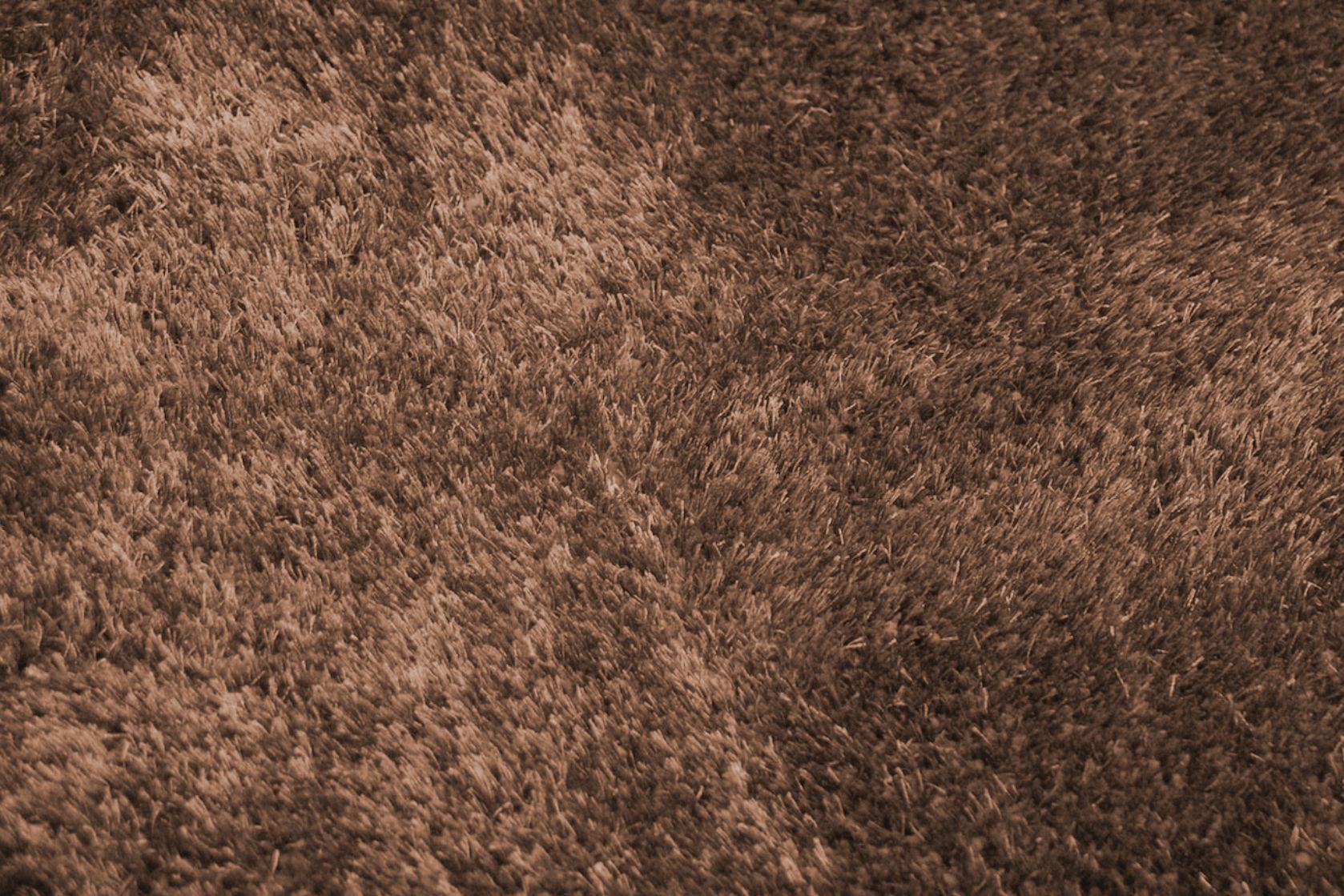 Vloerkleed 15 Taupe Kupius