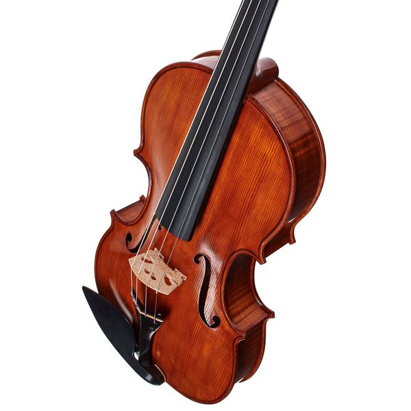 Luca Zerilli Viola Guarneri Trieste 15,5