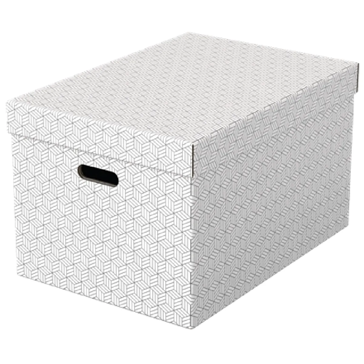 Esselte Pack de 3 Boîtes de Rangement - Blanc