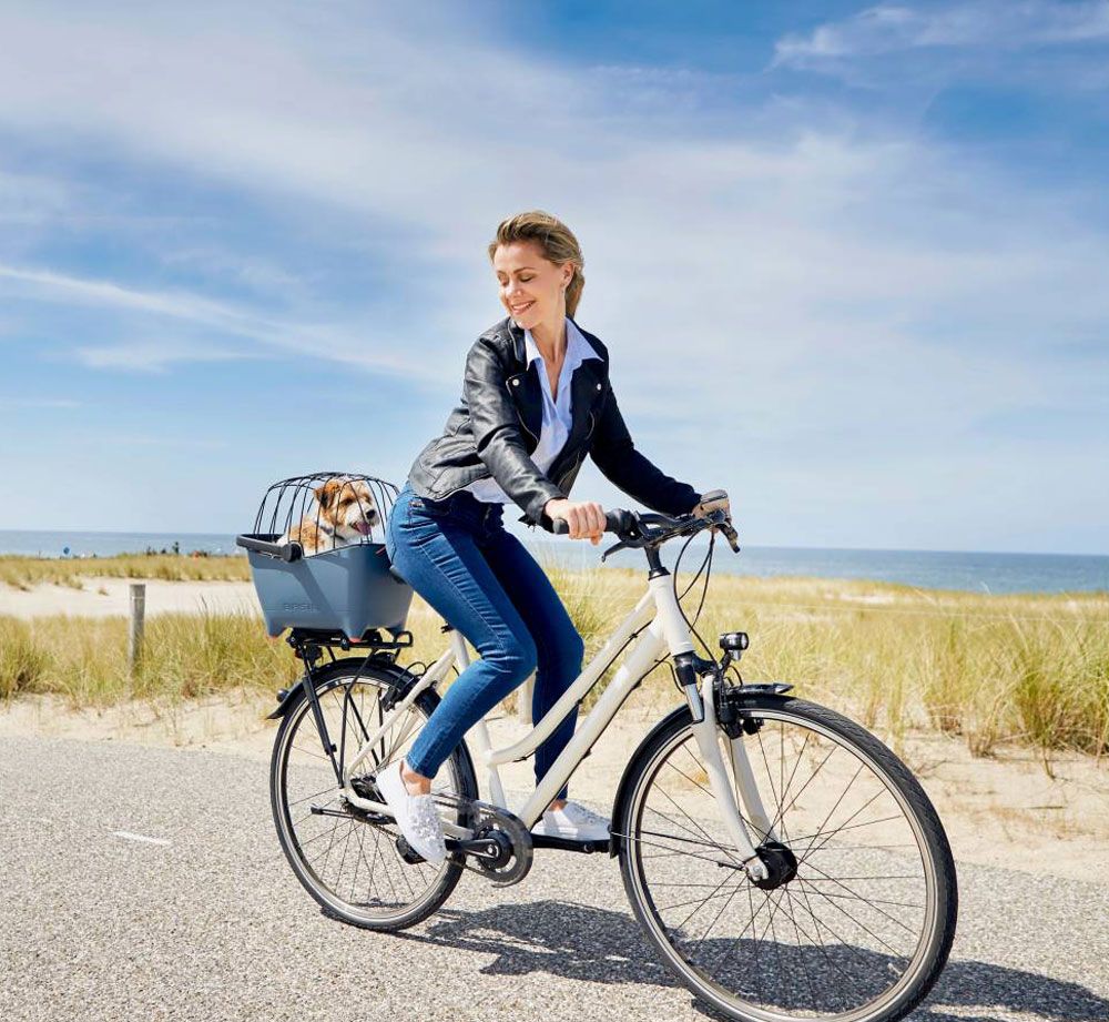 Basil BUDDY Space Frame Korbgitter kaufen | Bike-Discount