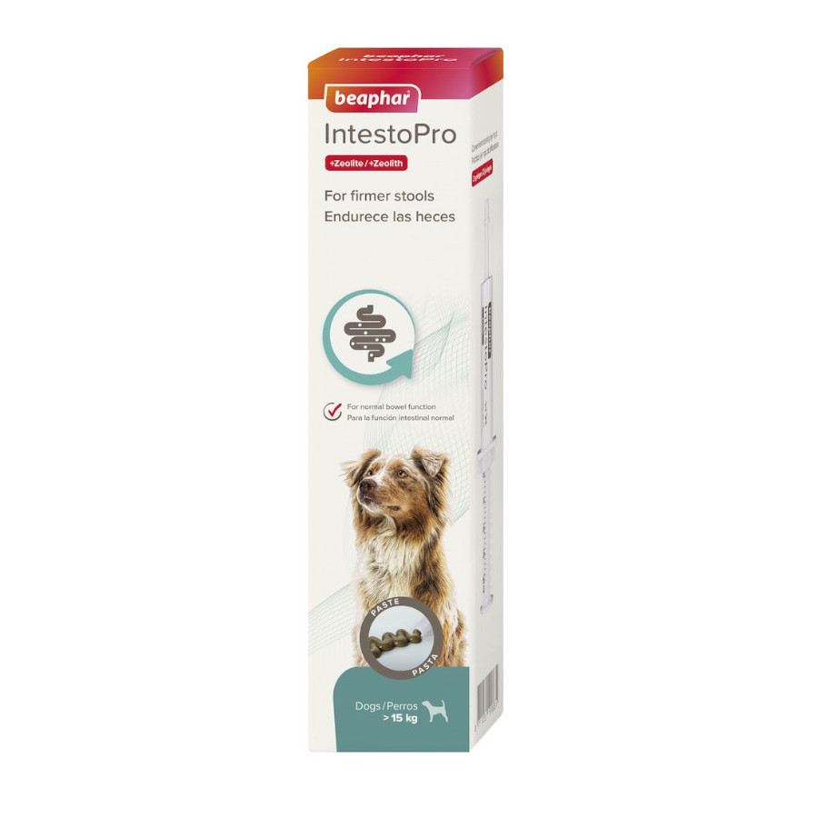Pasta para cães Beaphar IntestoPro
