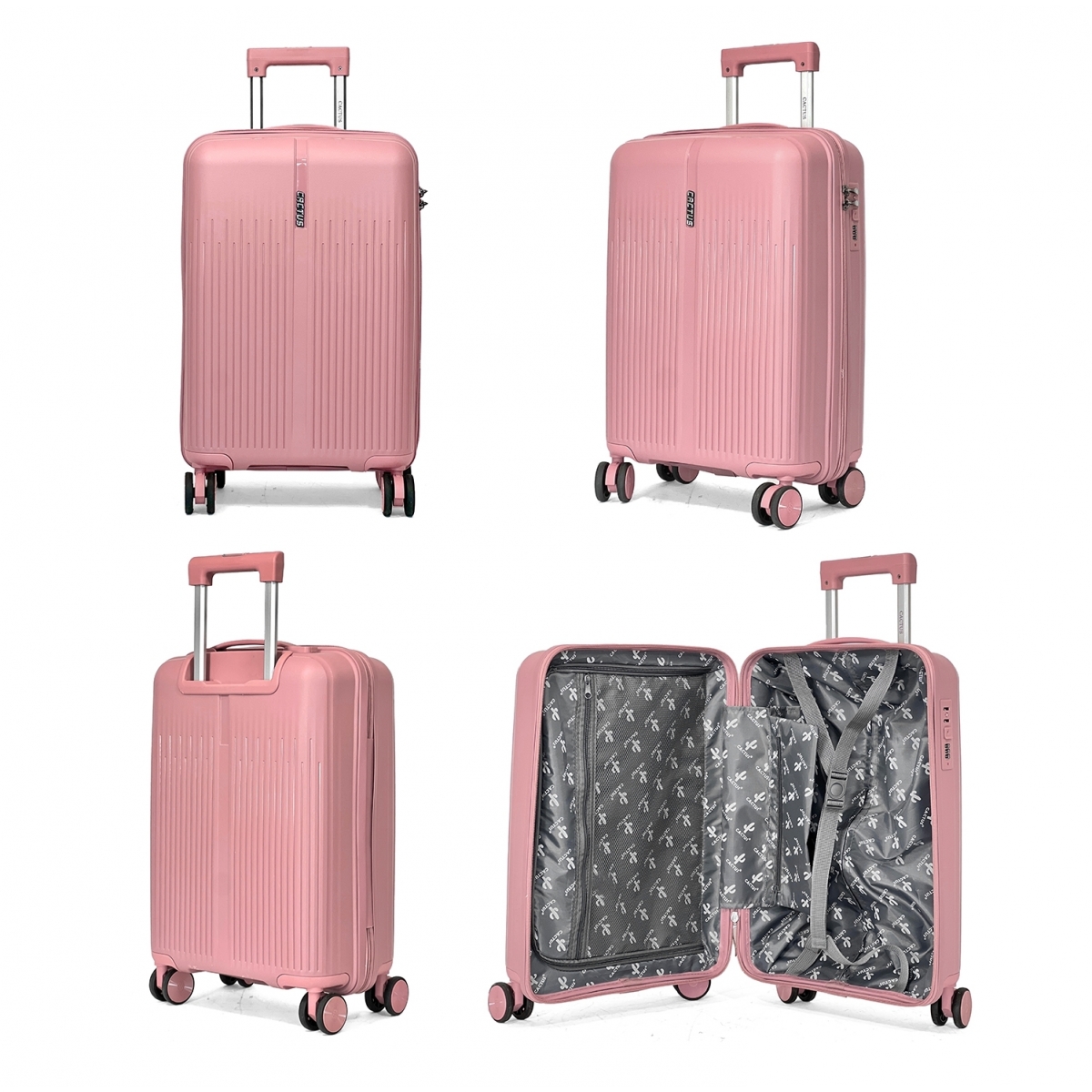 Cactus Lot de 3 valises rigides dont une valise cabine Cactus TSA PETE
