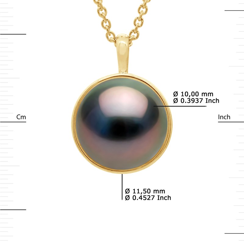 Collier Bélière Entourage Lisse - Véritable Perle de Culture de Tahiti Ronde 10-11 mm - Or Jaune