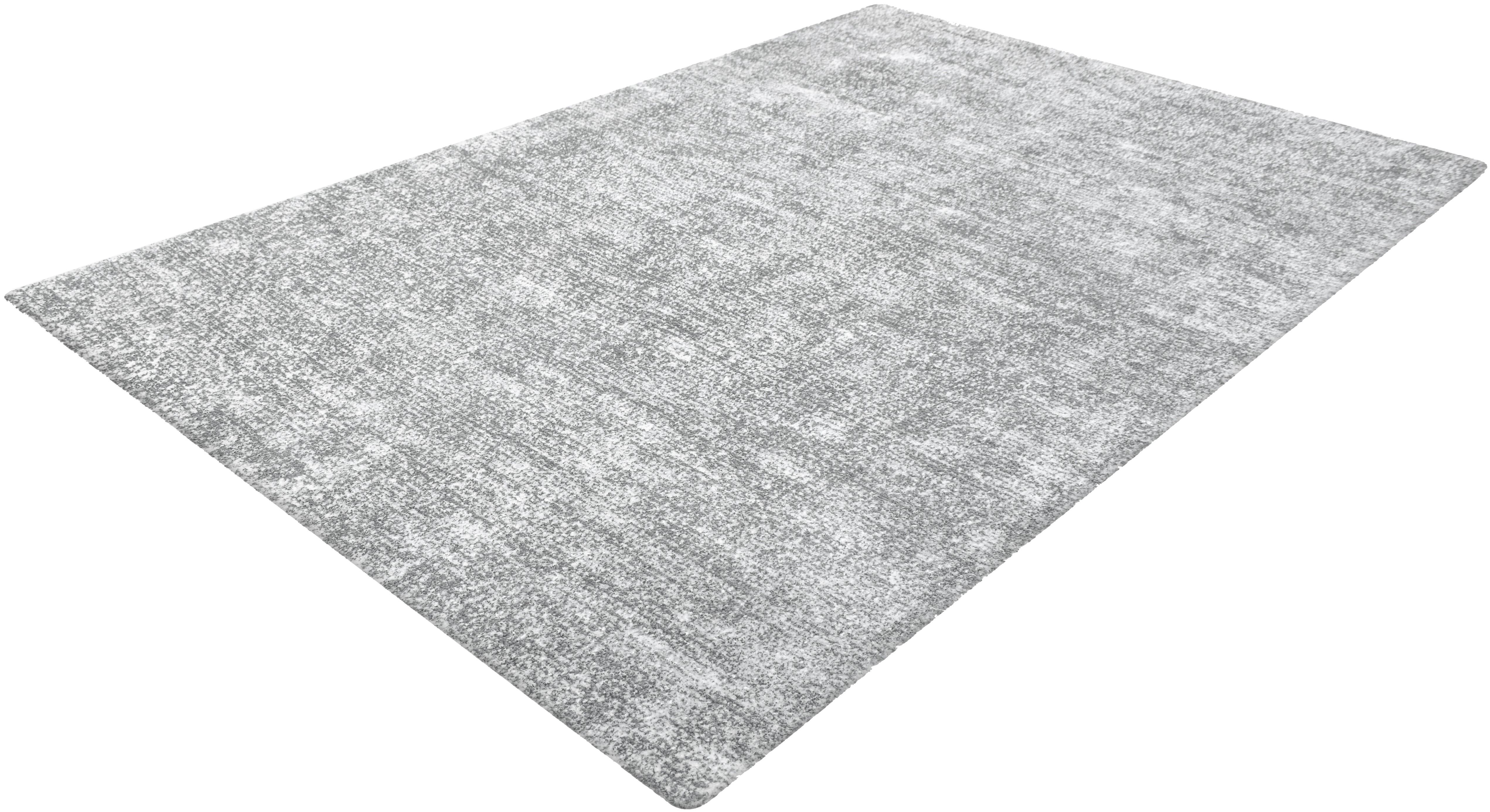 Vloerkleed 110 Zilvergrijs Etna