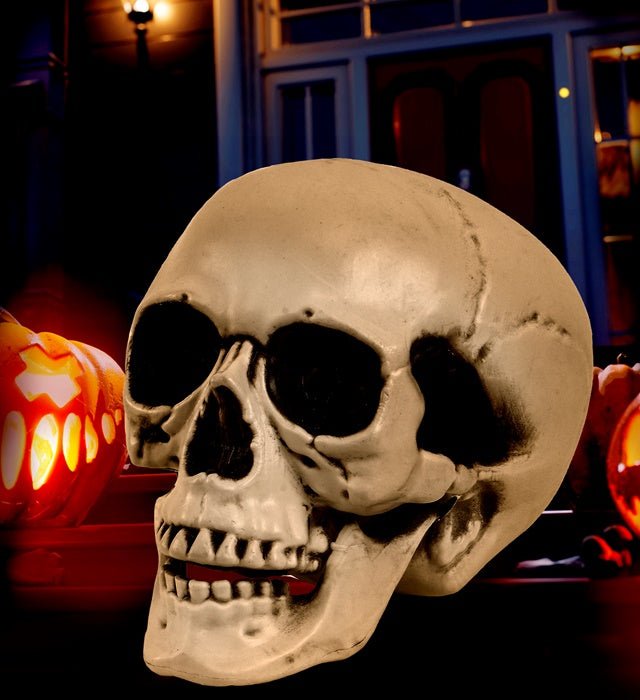 Halloween Schedel Met Beweegbare Kaak 28cm