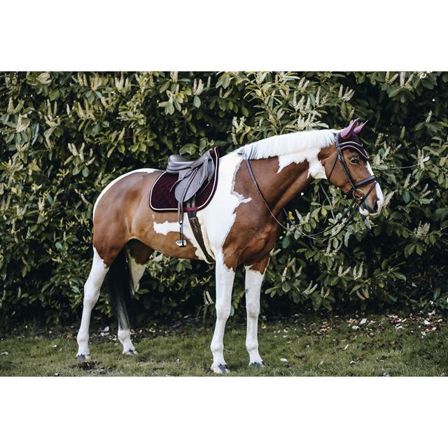 Zadeldek Kentucky Corduroy Donkerrood