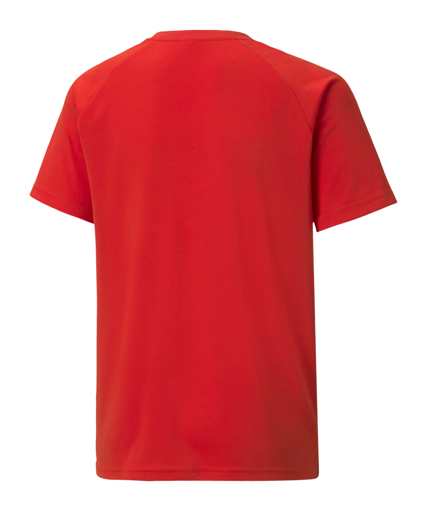 PUMA teamLIGA Striped Trikot Kids Rot Schwarz F01
