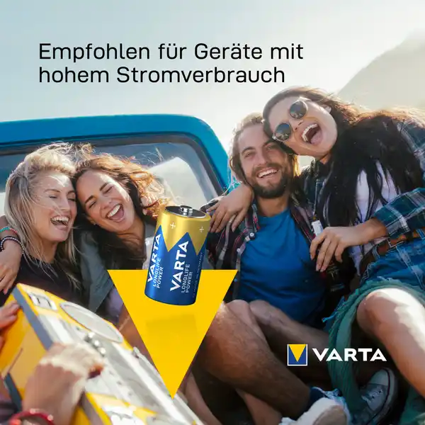 Longlife Power D Batterien
