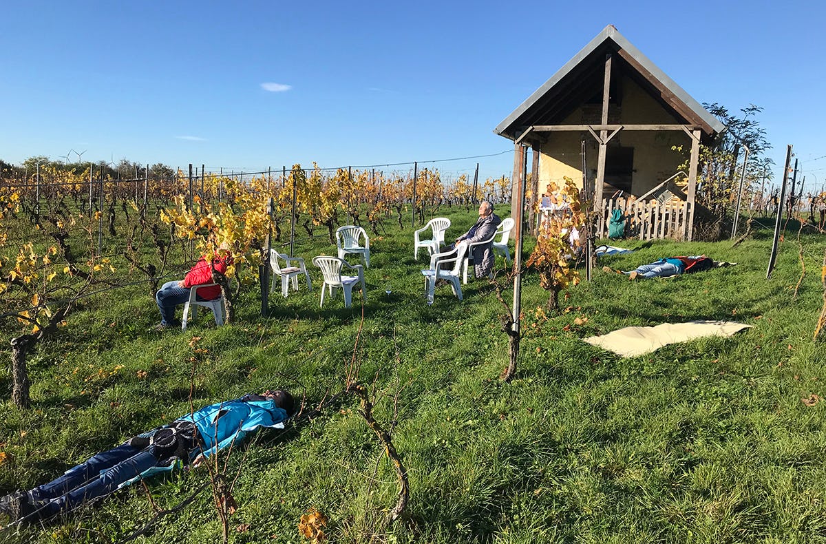 Weinbaden und Weinverkostung Prichsenstadt