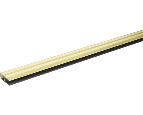 SKANDOR eindprofiel champagne geanodiseerd incl. cliprail 10x28x900 mm