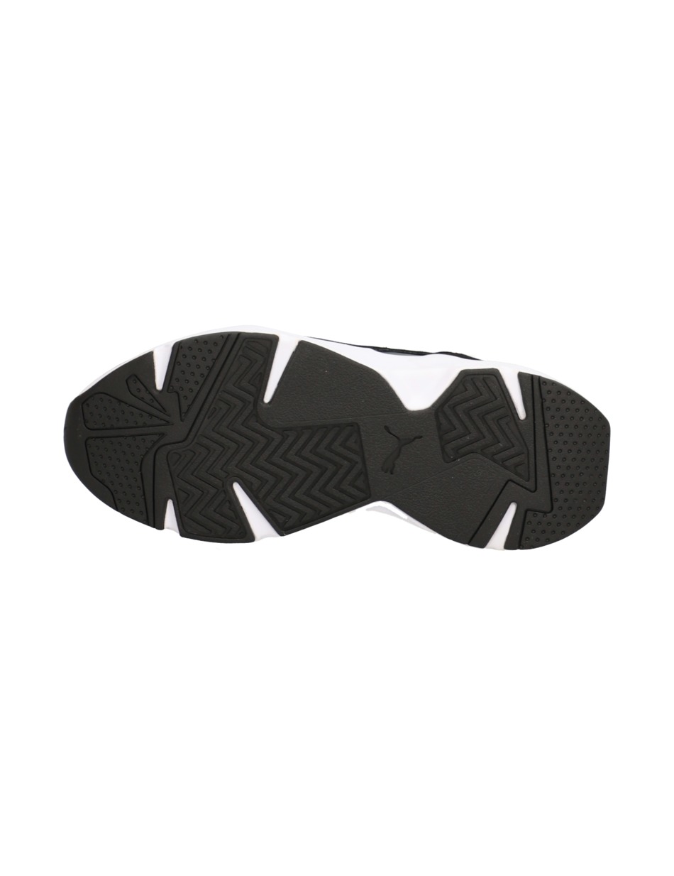Cassia Laser Cut