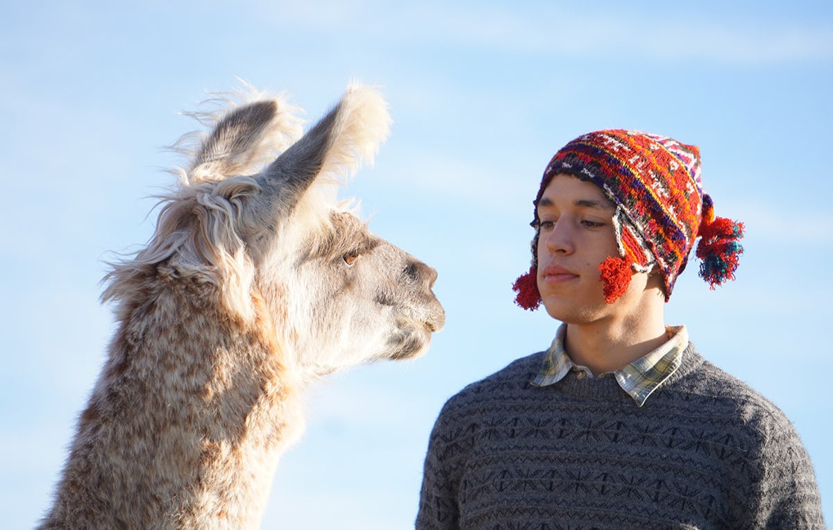 Lama Wanderung Bärnau