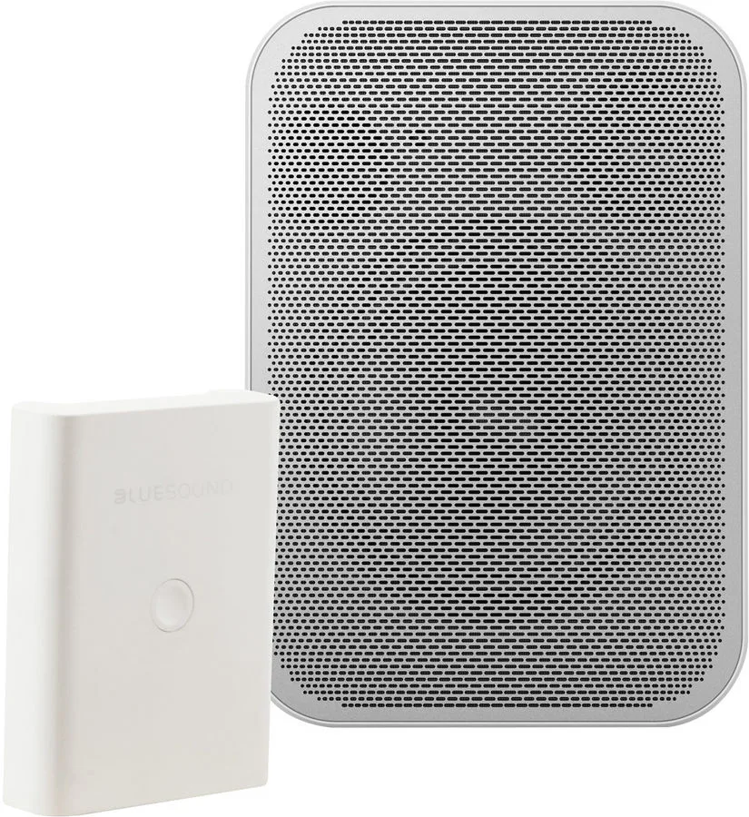 Bluesound Pulse Flex 2i Blanc   Bluesound BP100 Blanc Enceintes connectées