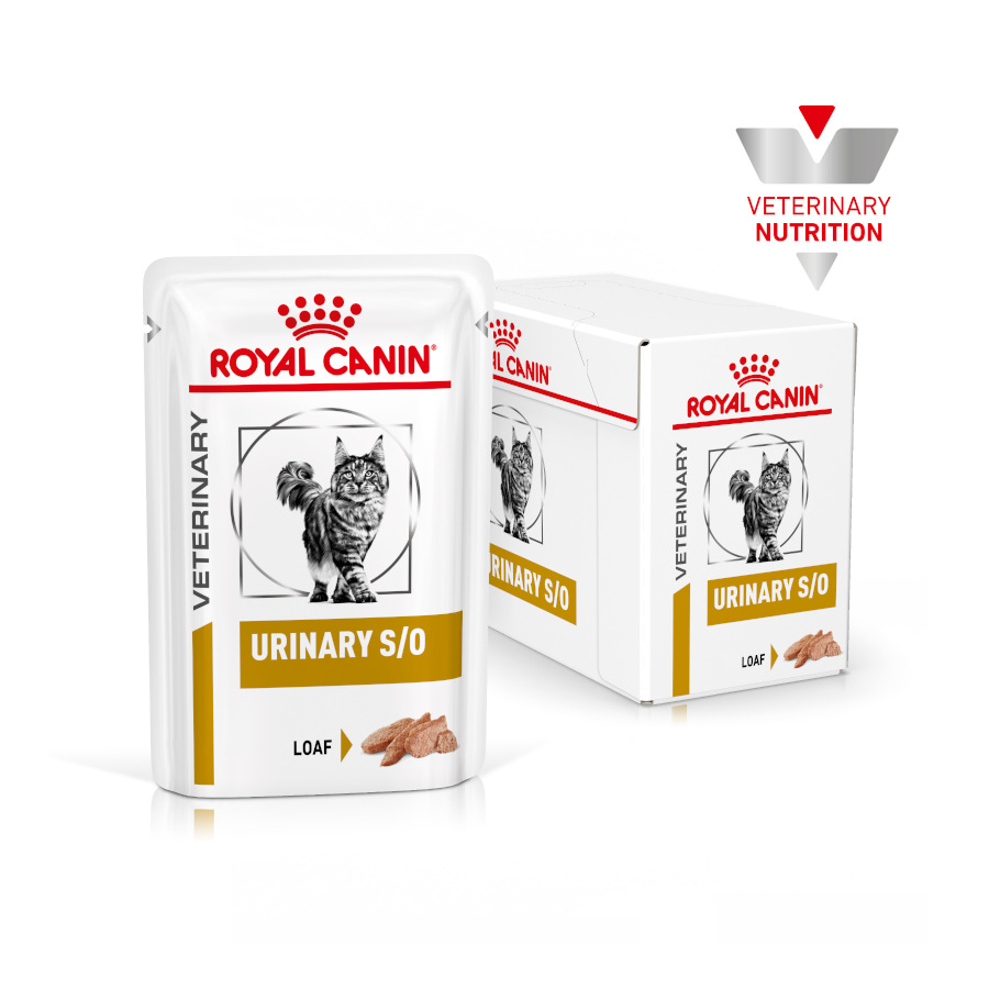 Sachê de Mousse Urinária Veterinária para Gatos Adultos Royal Canin